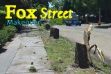 Fox Street is getting a facelift of sorts as trees have lifted sidewalks and caused problems. Work began this week on Fox Street.
